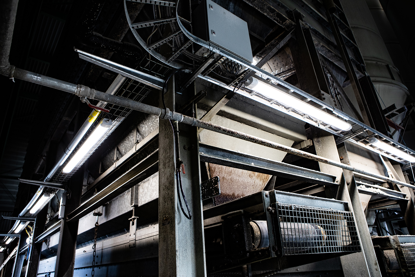 placeholder image-sq