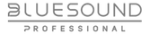 BlueSound