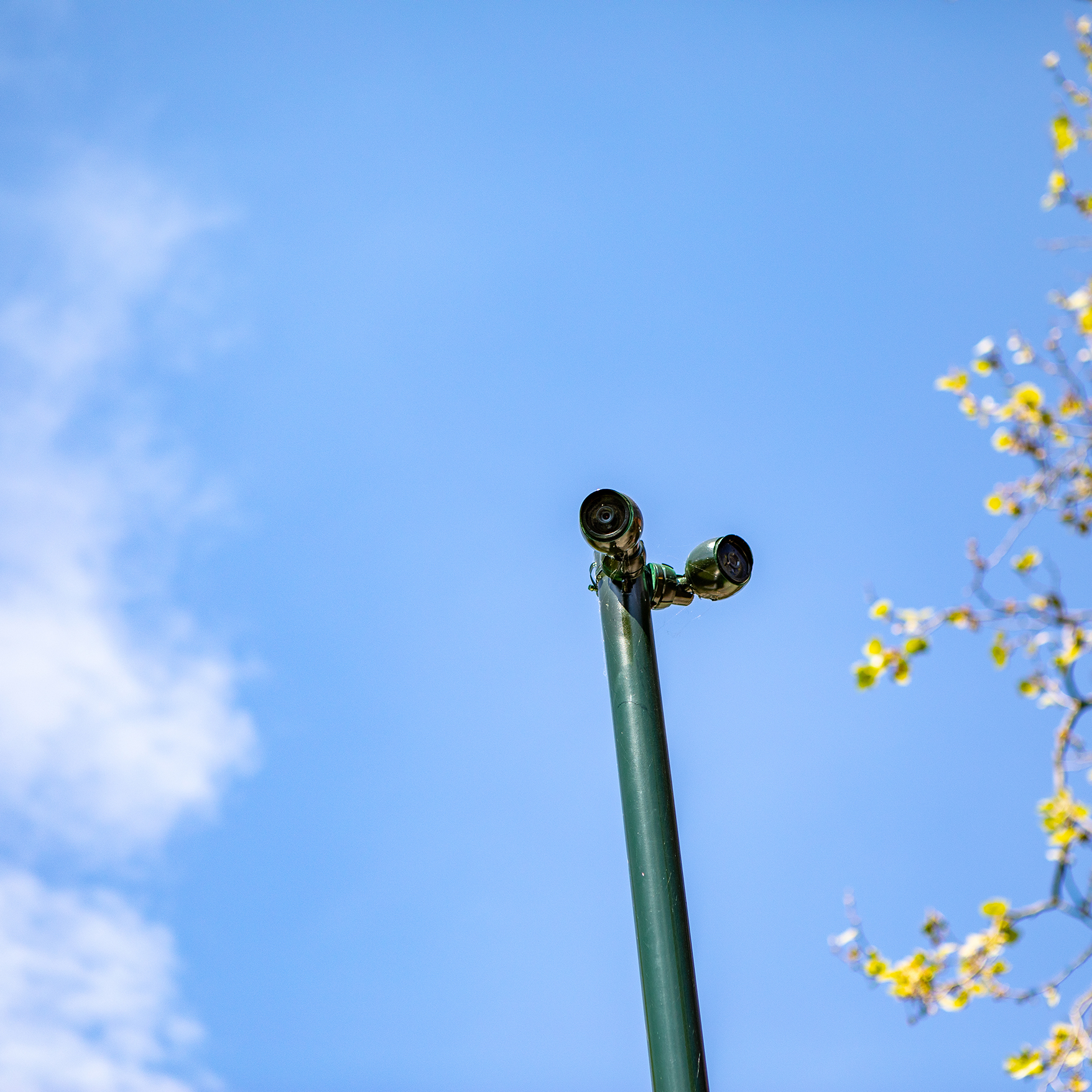 beveiliging_pic_5